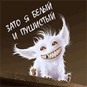 Фотография WOLF