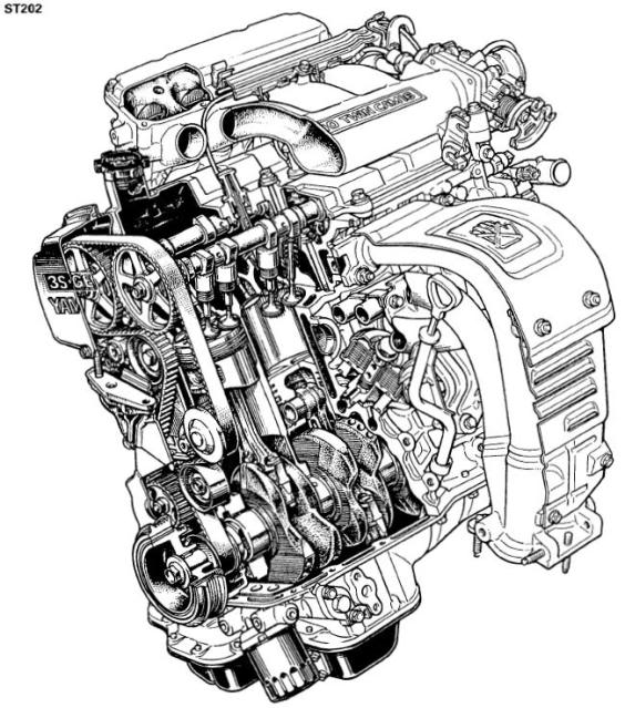 Фотография ex.viper