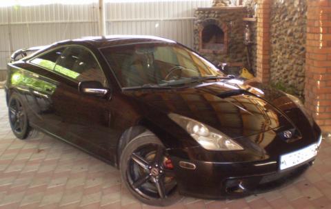 Фотография SANDRO42-23