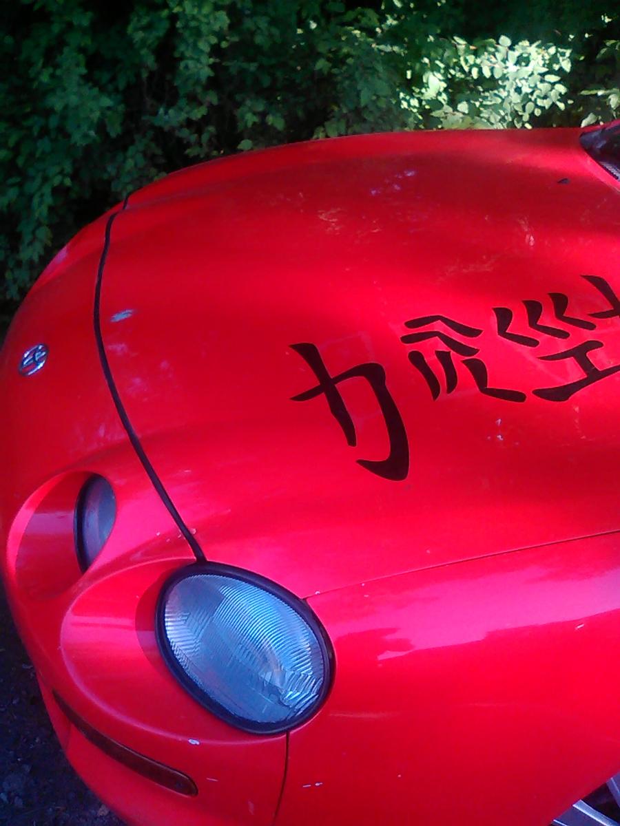 Фотография илья77