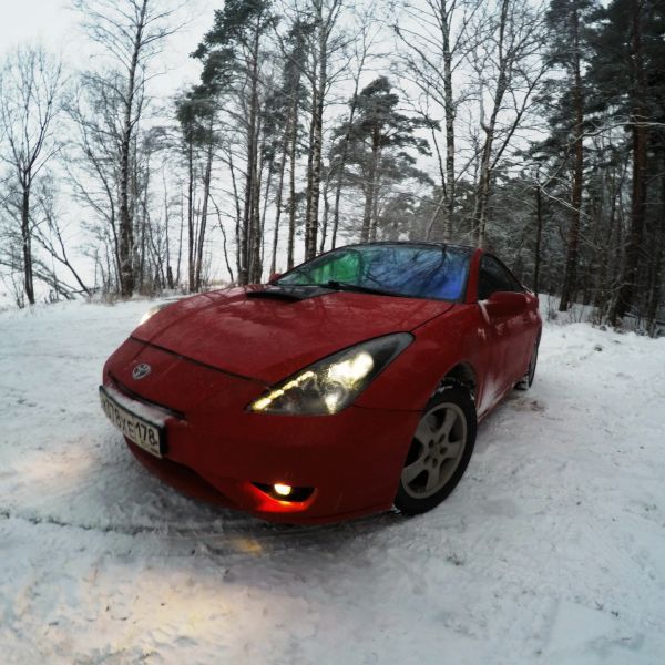 Фотография chips