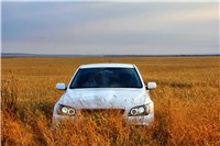 Фотография A-Line