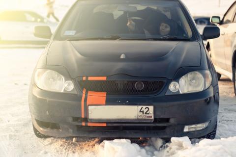 Фотография corollas