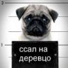 HELP! - последнее сообщение от Bul'DOG