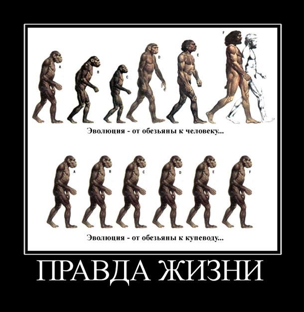 Проект всем людям хватит места на земле